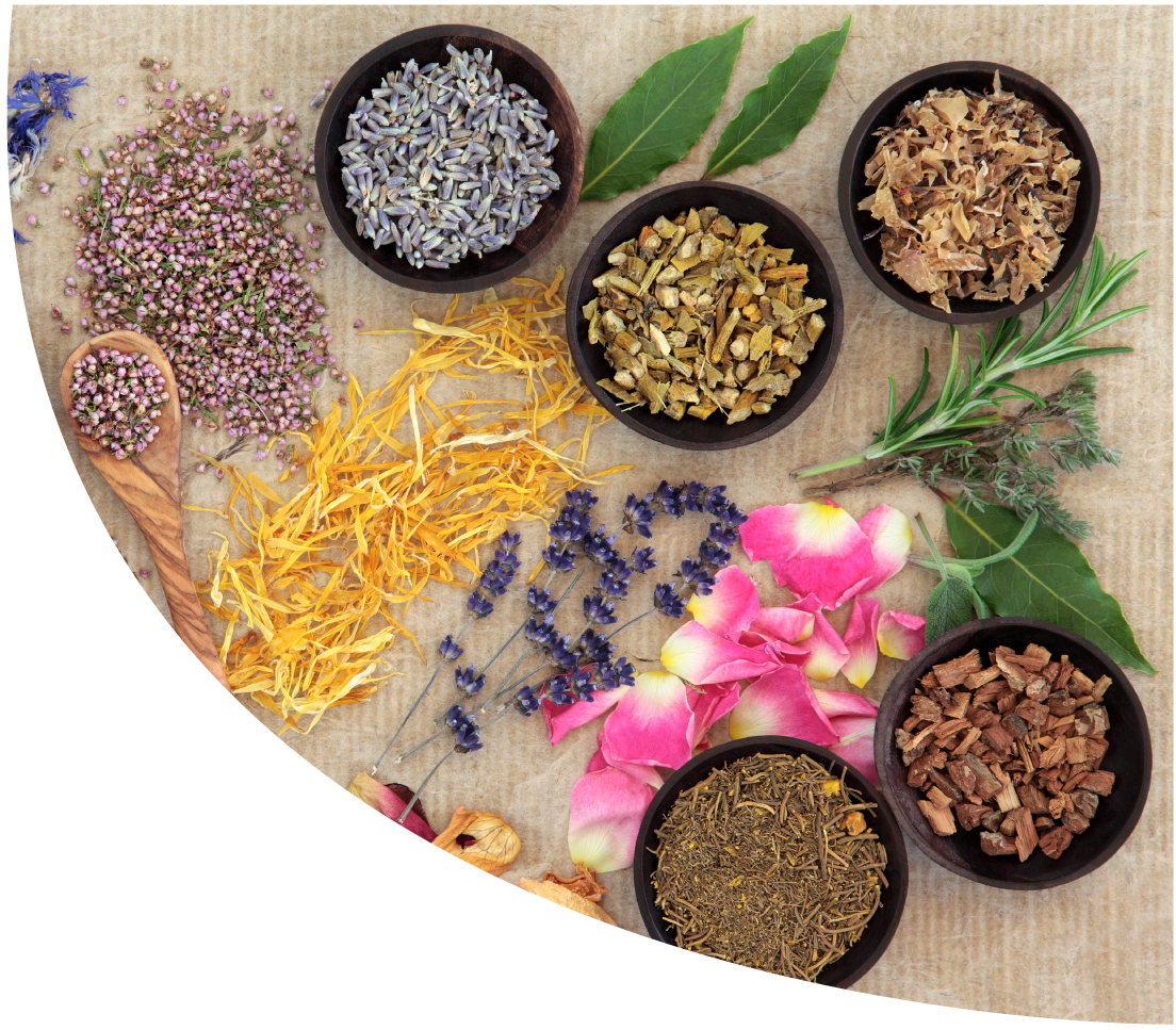 PageImage Naturopathy Shape3 1