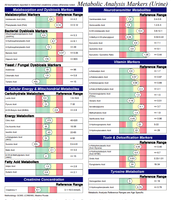 Genova One Test Sample Report