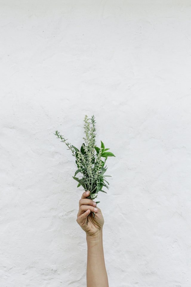 Holdings natural herbs in hands