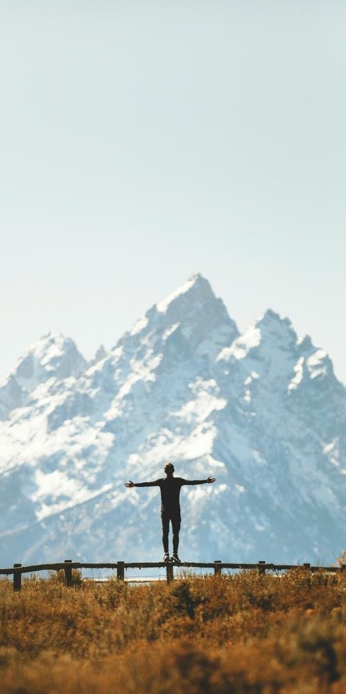 healing client celebrating success - standing on fence
